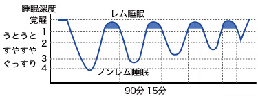 レム睡眠とノンレム睡眠